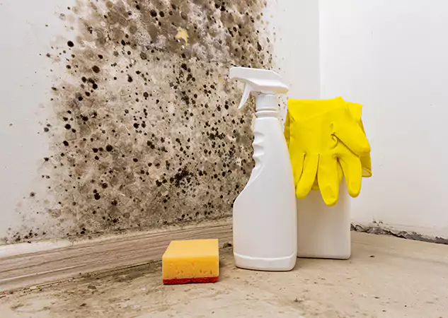 Your Reliable Restoration Company in Aragon, GA