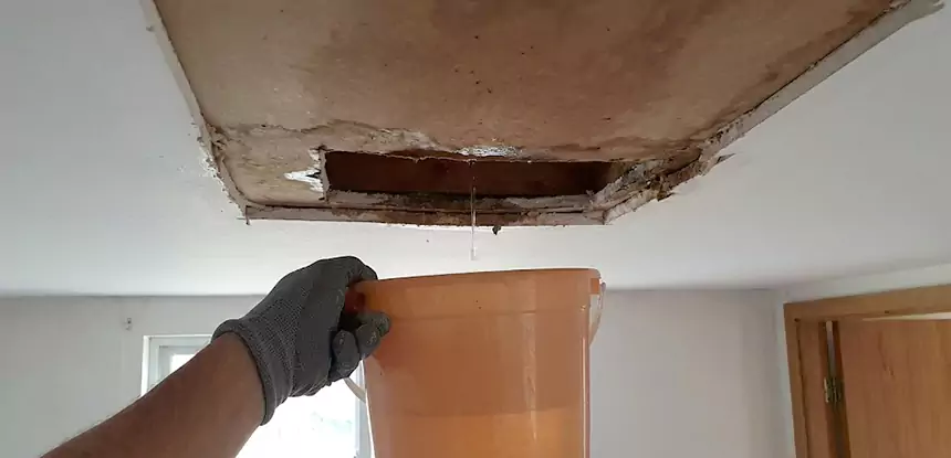 Ceiling Mold Repair Aragon