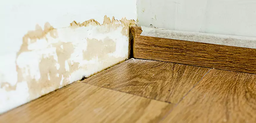 Professional Fix Water Damaged Wood Services in Aragon, GA