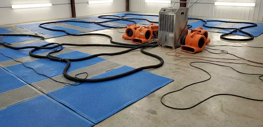 Professional Flooded Carpet Drying Services in Aragon, GA
