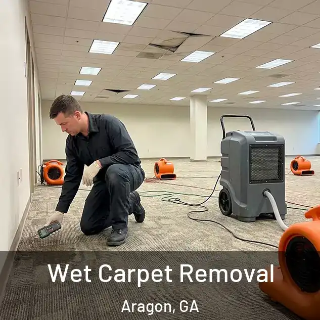  Wet Carpet Removal Aragon, GA